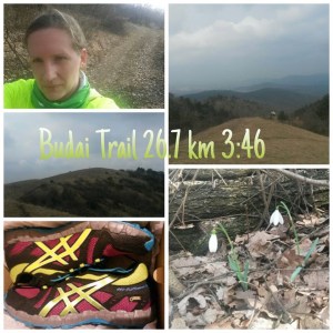Budai_Trail_Timi