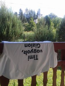 Gizion
